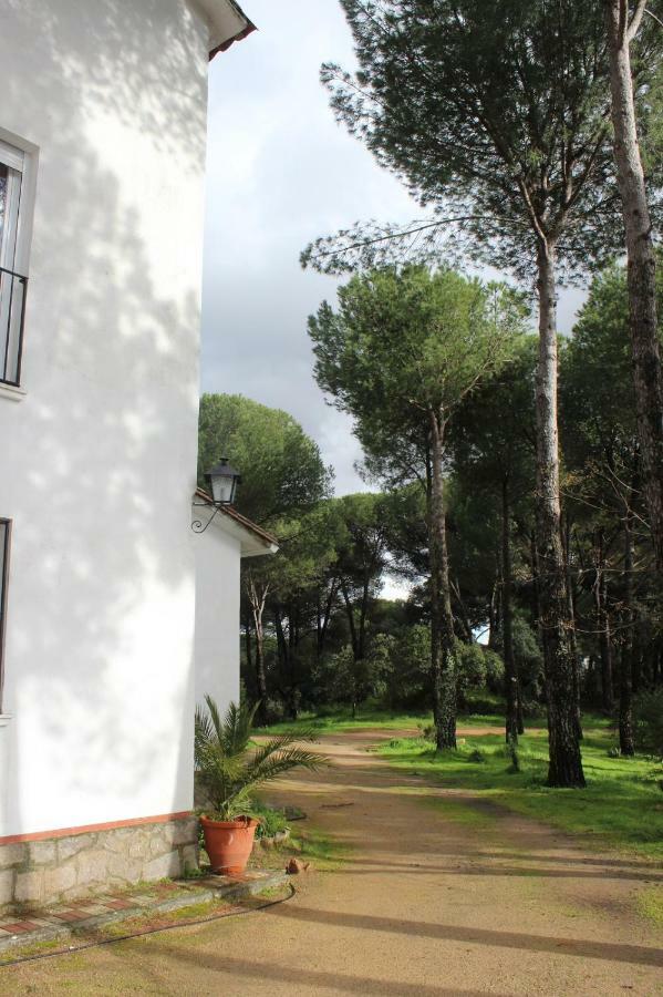 Viña Concepción Vila Andújar Exterior foto