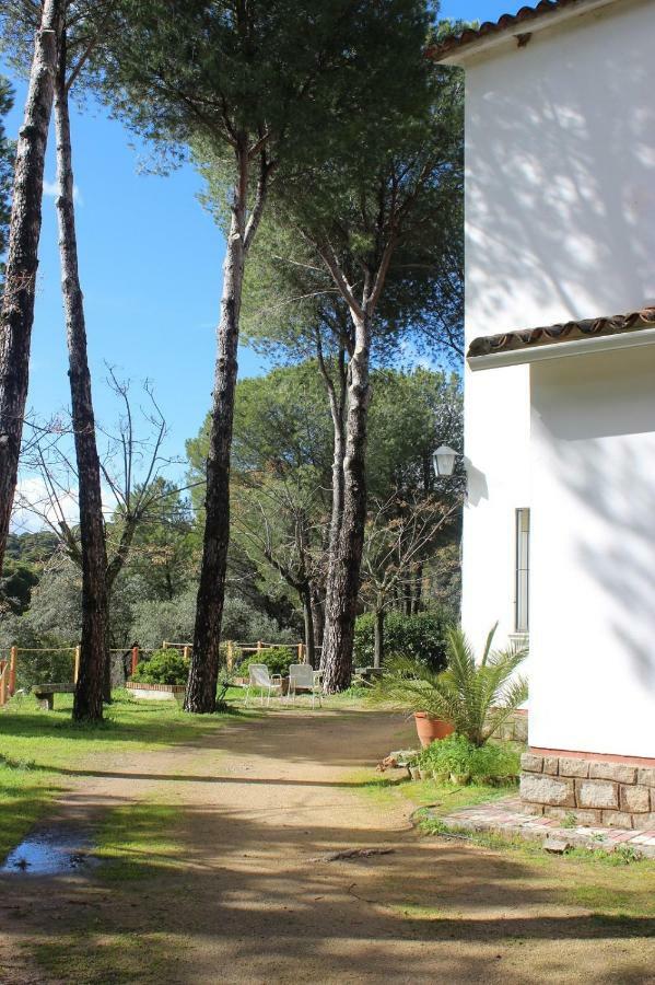 Viña Concepción Vila Andújar Exterior foto