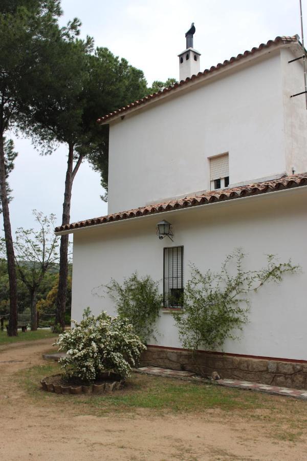 Viña Concepción Vila Andújar Exterior foto